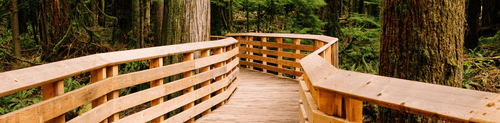How Often Should You Treat Outdoor Wood? A Guide
