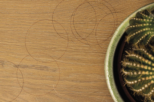 Treating Oak Wood