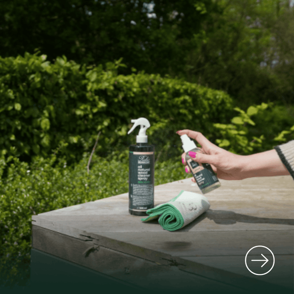 Cleaning & Maintenance