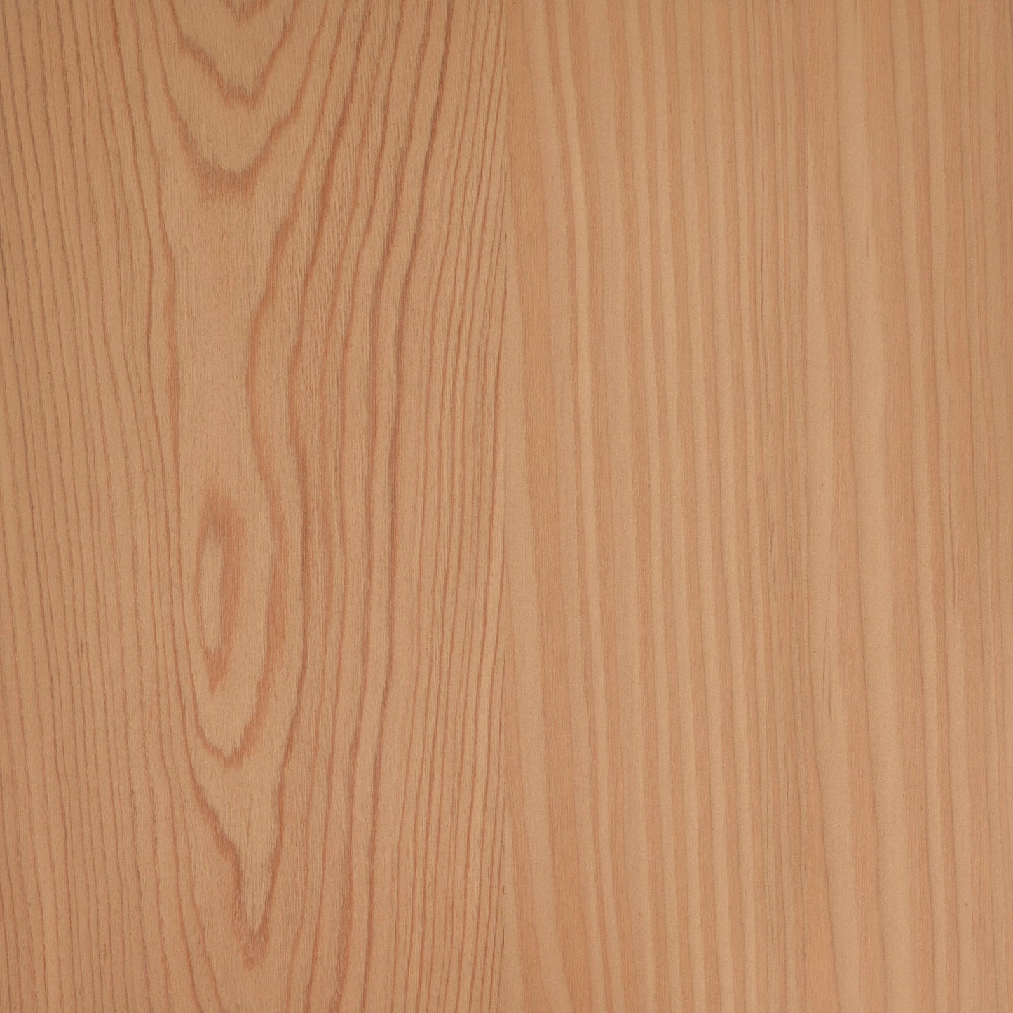 Larch